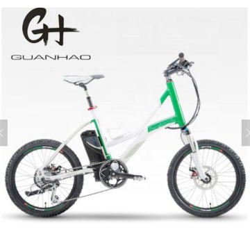 20 Inch Cheaper Mini Kid Boys Small 250 Watt PAS Electric Bicycle